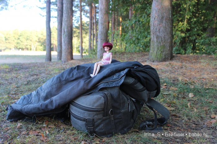 Музыкальный пикничок — Куклы и тела Obitsu (Обитсу): 1/6 (фото 2)