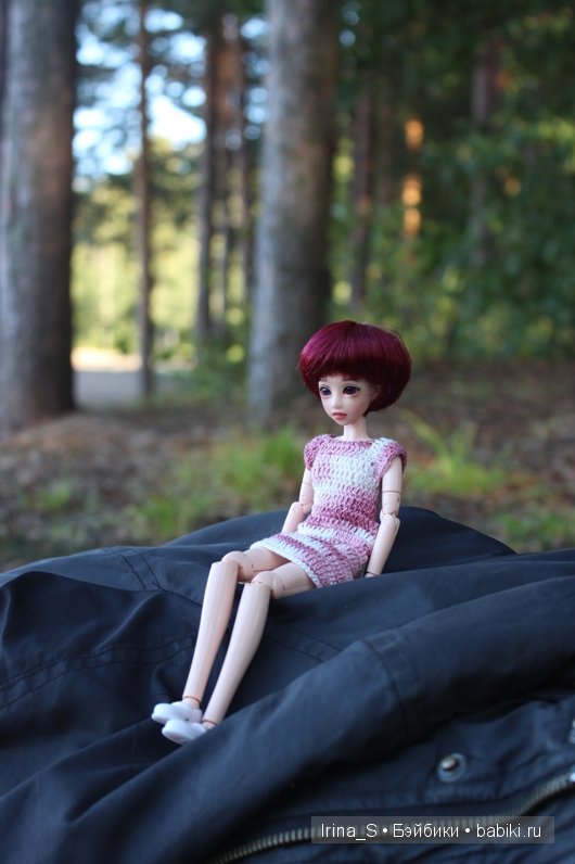 Музыкальный пикничок — Куклы и тела Obitsu (Обитсу): 1/6 (фото 3)
