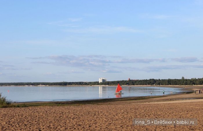 Музыкальный пикничок — Куклы и тела Obitsu (Обитсу): 1/6
