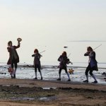 Музыкальный пикничок