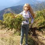 Приключения Йоко Кин. Часть 5. Каникулы в Сочи с куклой Момоко