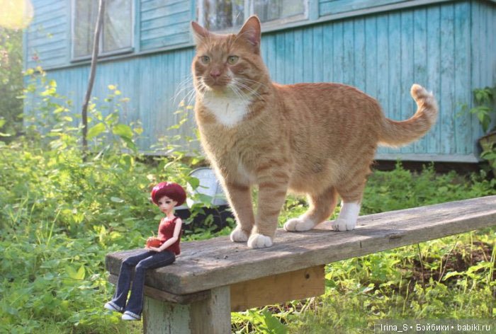 Летние путешествия. Последний топик про Эрику (Obitsu 23 sm + Nano Haruka)