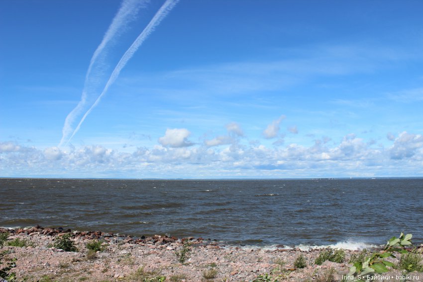 Летние путешествия. Последний топик про Эрику (Obitsu 23 sm + Nano Haruka) (фото 2)