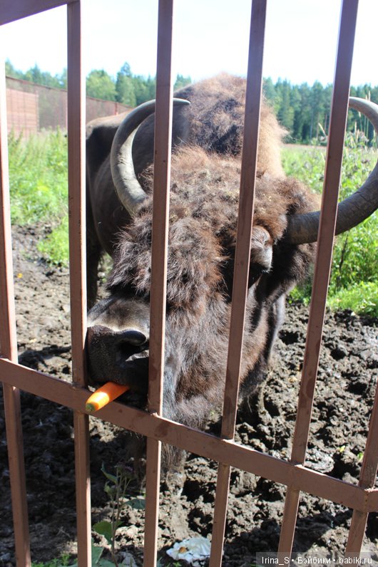 Летние путешествия. Последний топик про Эрику (Obitsu 23 sm + Nano Haruka)