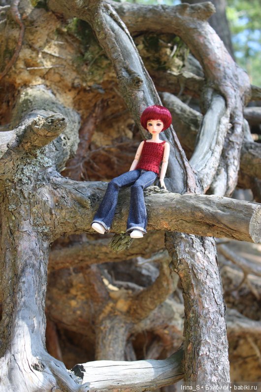 Летние путешествия. Последний топик про Эрику (Obitsu 23 sm + Nano Haruka) (фото 9)