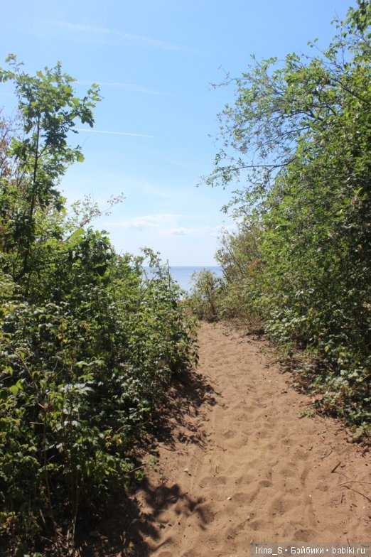 Как Иоланта море искала — Куклы Baboliy (Баболи (фото 9)