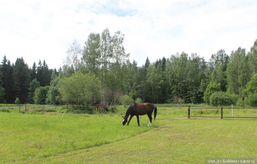 Как Иоланта море искала — Куклы Baboliy (Баболи (фото 3)