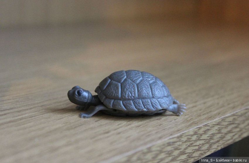 Новый питомец. Миленка от Studio Milim (фото 2)