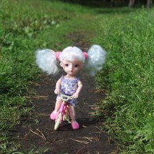 Лесная прогулка