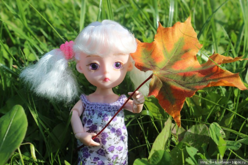 Лесная прогулка — Разные шарнирные куклы (не БЖД): редкие