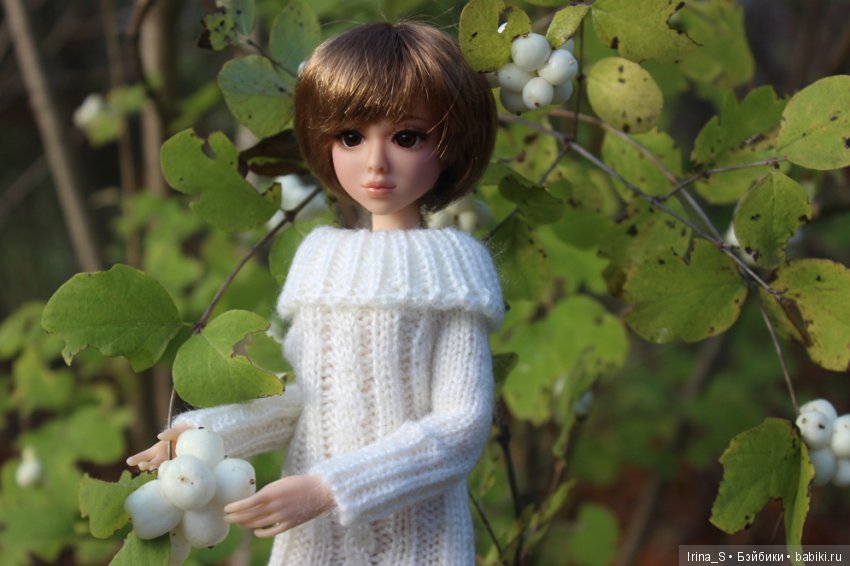 Осенние прогулки Миры (Миленка от Studio Milim) (фото 4)