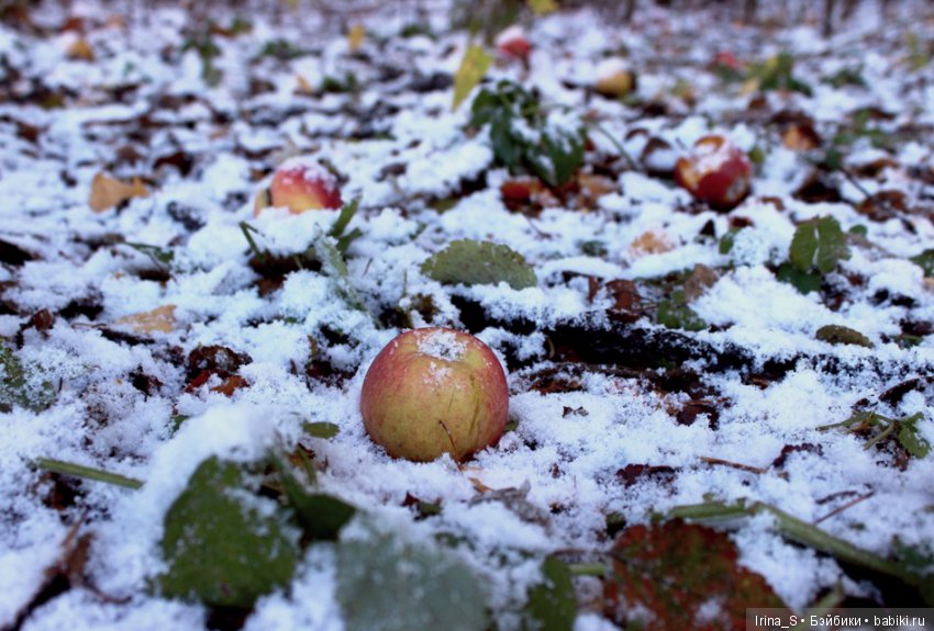 Осенние прогулки Миры (Миленка от Studio Milim)