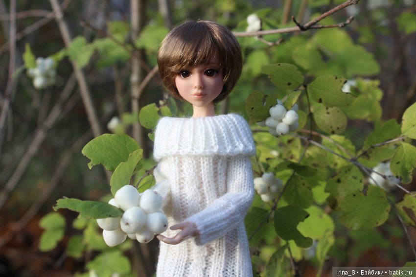 Осенние прогулки Миры (Миленка от Studio Milim) (фото 6)