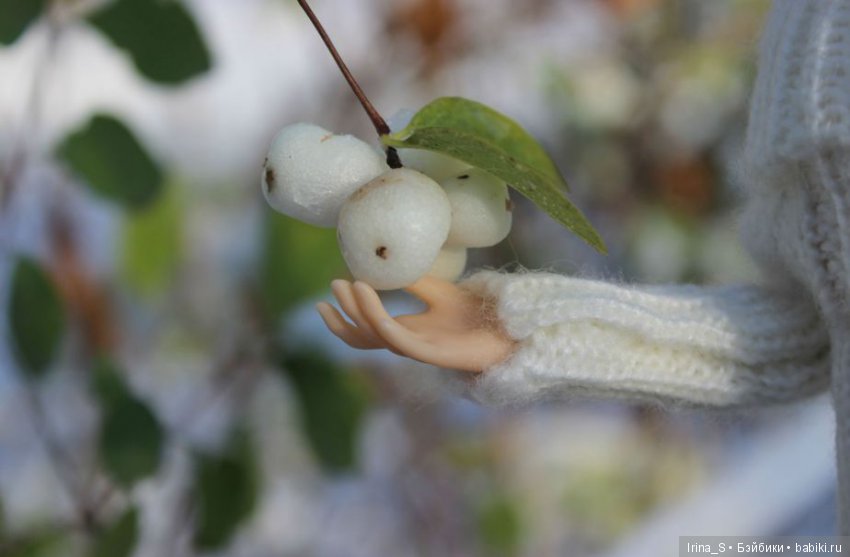 Осенние прогулки Миры (Миленка от Studio Milim) (фото 5)