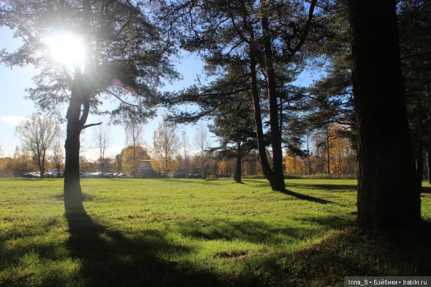 Осенние прогулки Миры (Миленка от Studio Milim) (фото 2)