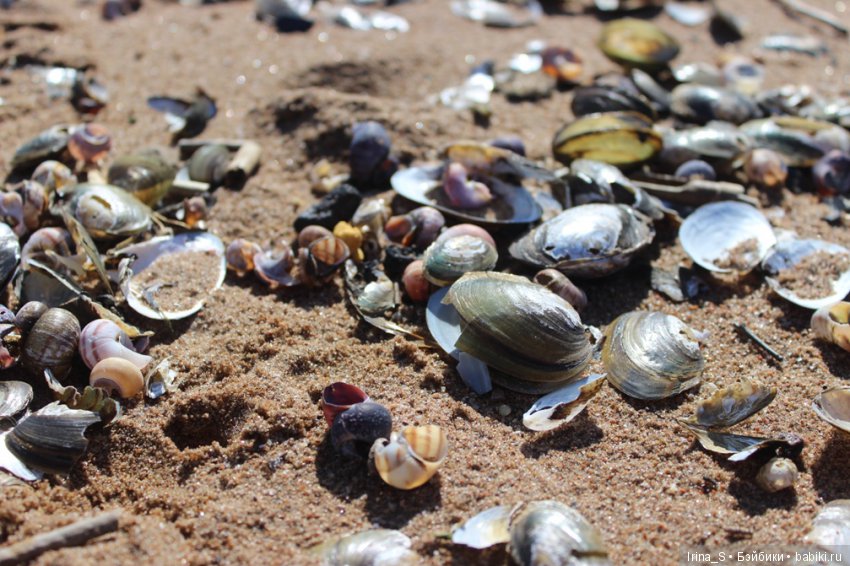 Прогулки с Лейлой — Разные шарнирные куклы (не БЖД): редкие (фото 7)