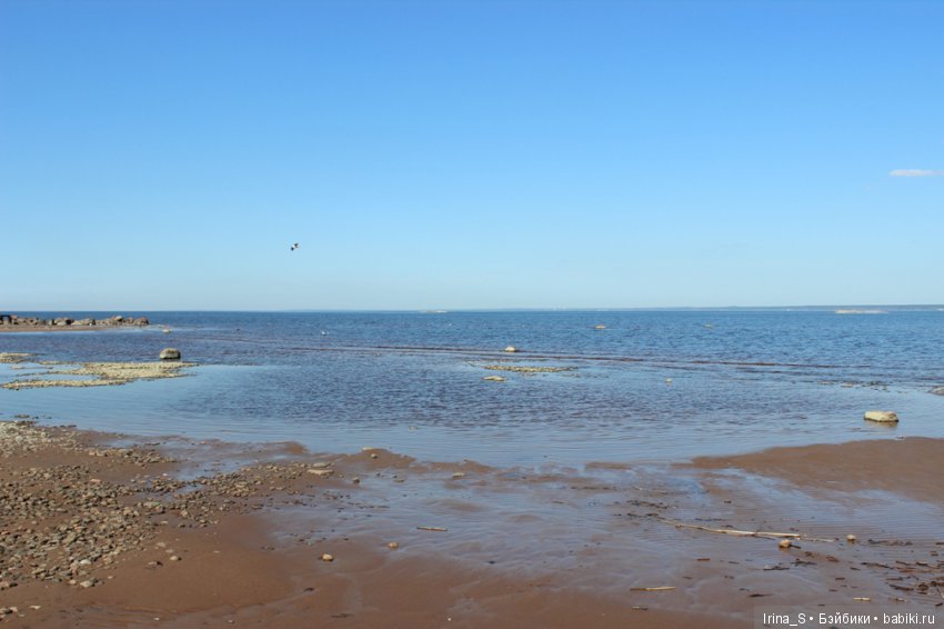 Прогулки с Лейлой — Разные шарнирные куклы (не БЖД): редкие (фото 6)