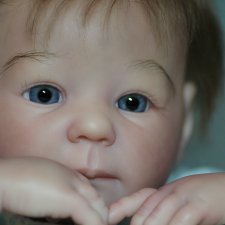 Мой воробушек Марли