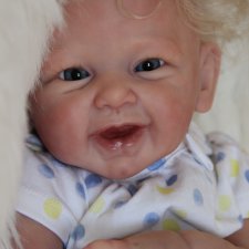 Улабашка Феникс