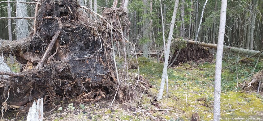 Ждём весну — Игровые куклы разных производителей (Разное): редкие бренды