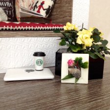 МК по созданию цветочных композиций и комнатных растений для кукольной миниатюры. Часть 2