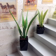 МК по созданию цветочных композиций и комнатных растений для кукольной миниатюры. Часть 3