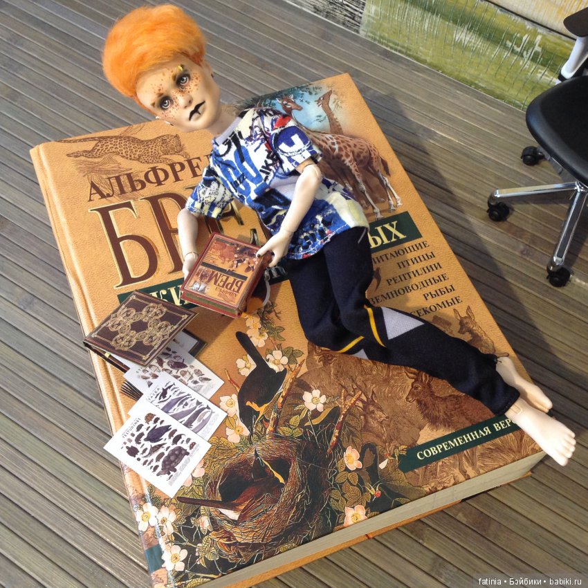 Библиотека и другая печатная продукция для наших кукол