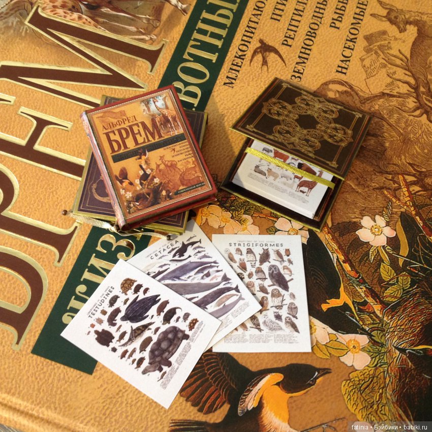 Библиотека и другая печатная продукция для наших кукол (фото 3)