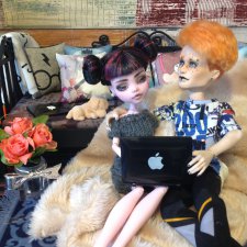 Из жизни Феликса и Алексы: обустройство, планы и проекты