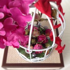 Весеннее настроение. Миниатюра из комнатных растений для любимых кукол