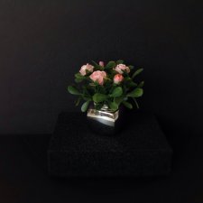 Растения, снова комнатные растения и цветы для кукольного интерьера