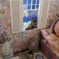 Мимимишки, капризная Соня и перепуганный кот.