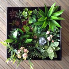 Много растений и немного Флёр среди них.