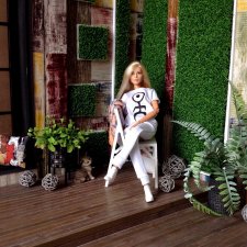 ... chillout zone или как разбиваются надежды. Румбокс 1:6