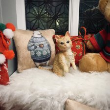 Уютности и детали. Румбокс 1:6.