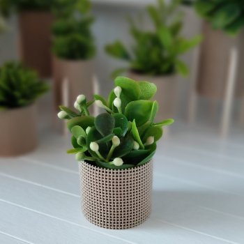 Дуновение весны? однозначно