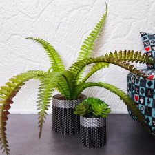 Комнатные растения для кукольного интерьера 1:6/1:4