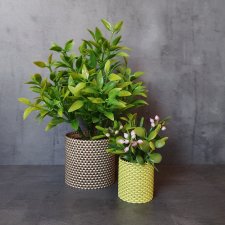 Комнатные растения в кашпо для кукольного интерьера