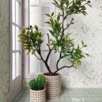 Комнатные растения для кукольного интерьера