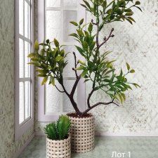 Комнатные растения для кукольного интерьера