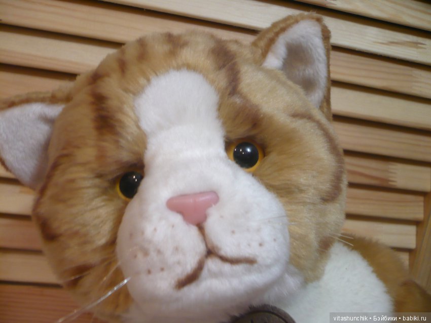 Это котик "из мешка"...