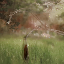 Настоящее Крыло Цикады Украшение Для Куклы