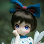 Tinyfox Maru - Полный Комплект