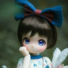 Tinyfox Maru - Полный Комплект