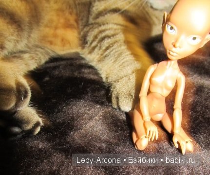 Как мы ждали первую БЖДшенку :) (AmiGaTa Cuatra от Тимура Зелеева) (фото 2)