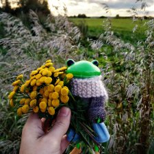 Знакомьтесь, Тиффани Жабстер! (Wonderfrog от Studio Uoo)