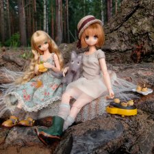 Мио и Майя на пикнике у Финского залива