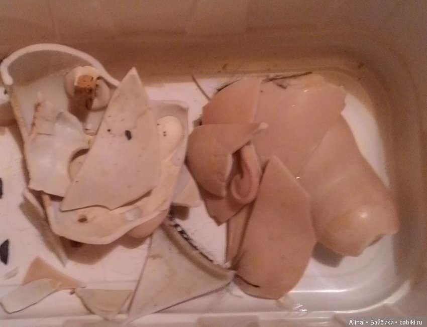 Голова в лотке