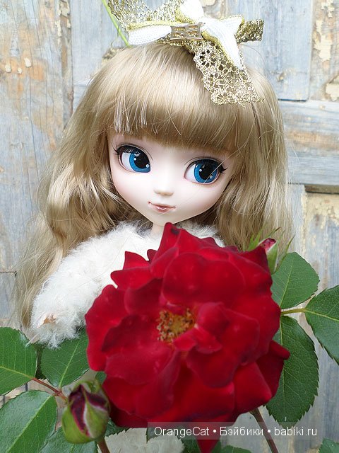 Нескучный сад, или где водятся кролики (фото 4)