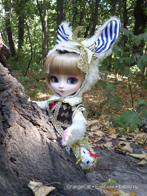 Нескучный сад, или где водятся кролики (фото 2)